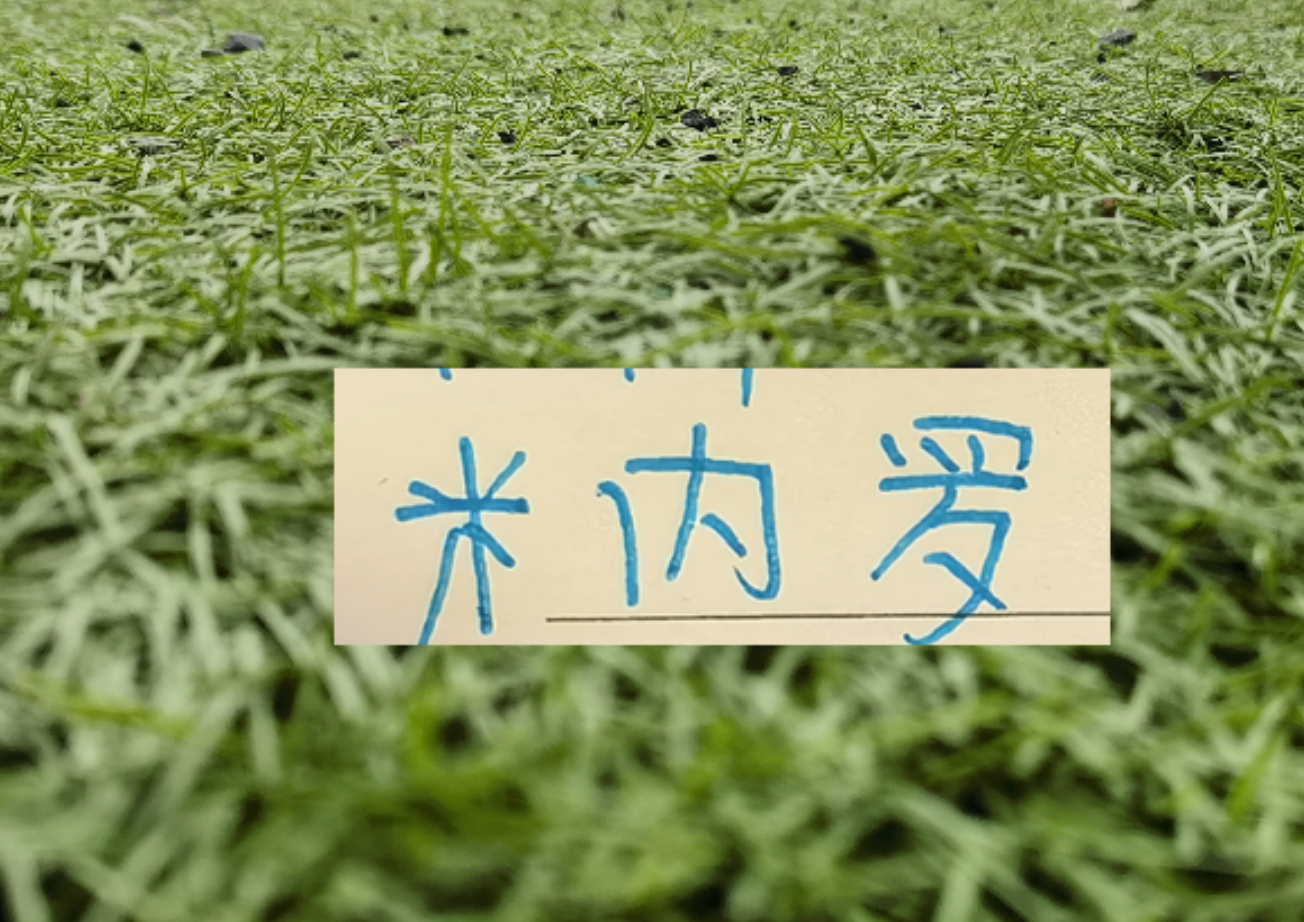 世俱杯投注APP-马纳法五月比赛报销！